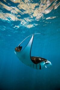 5 Popular Destination in Nusa Lembongan Island