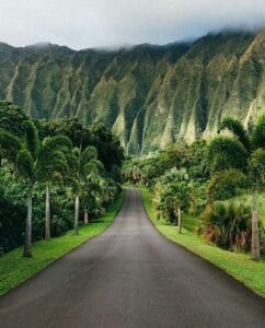 7 DESTINATION MUST VISIT IN UBUD